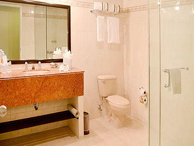 Hotel Mision Express 4*